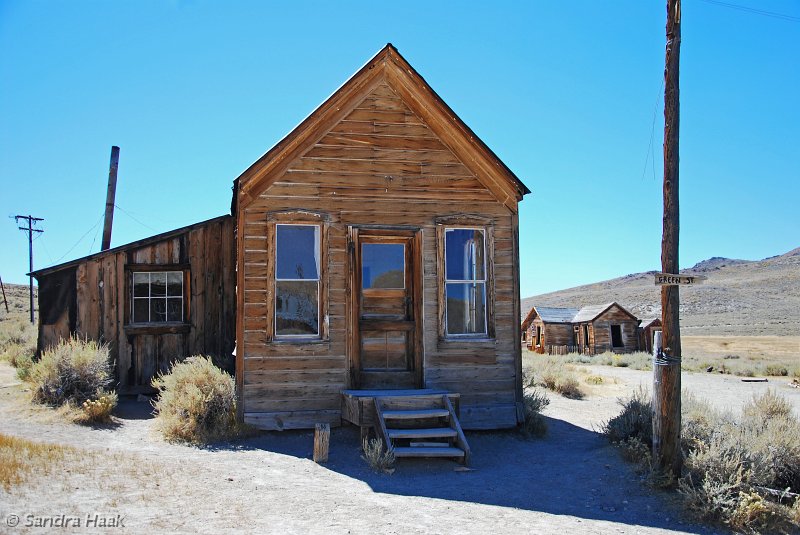 DSC_4046.JPG