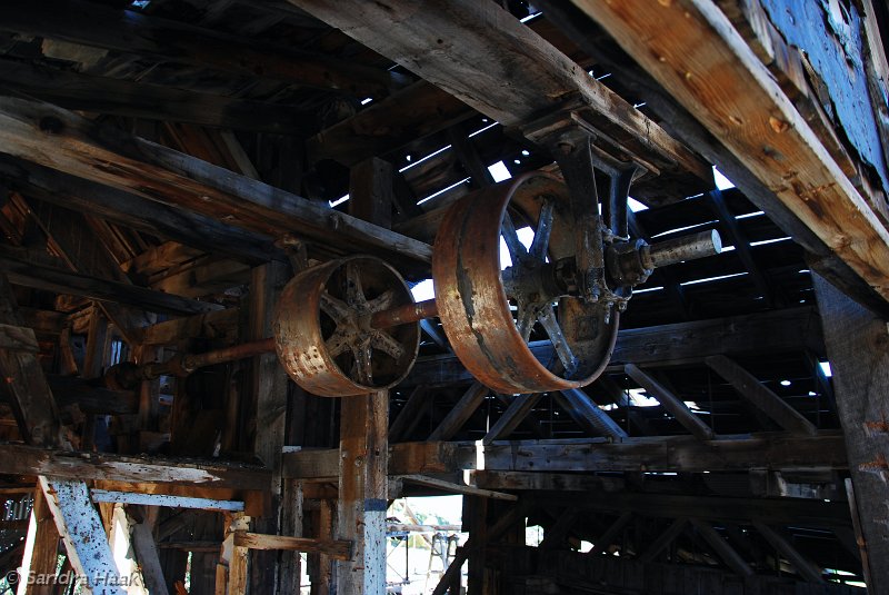 DSC_3884.JPG