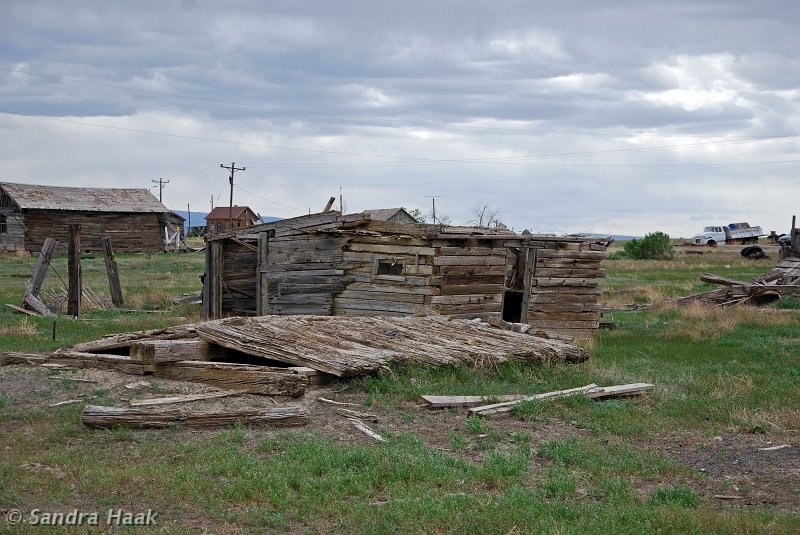 DSC_2799.JPG