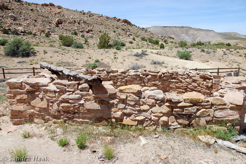 DSC_2724.JPG