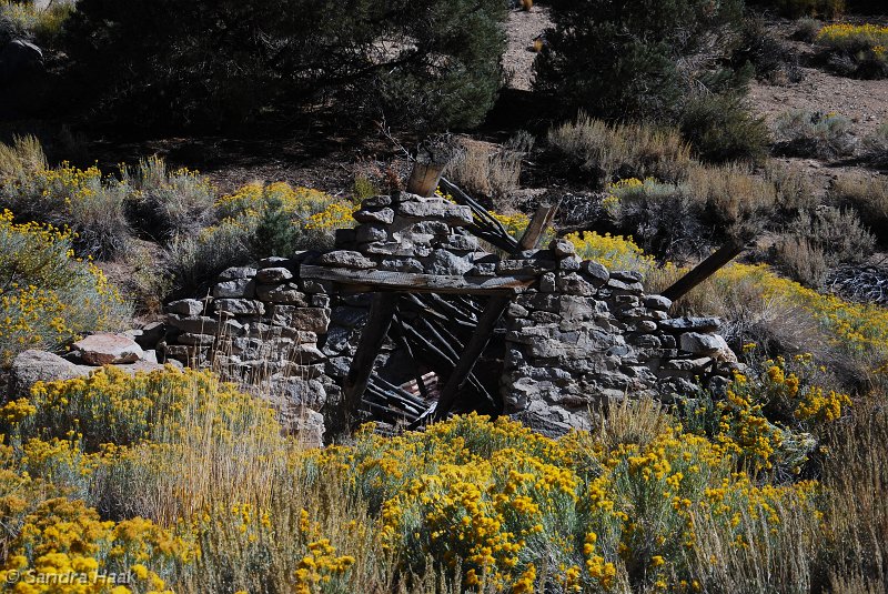 DSC_3949.JPG