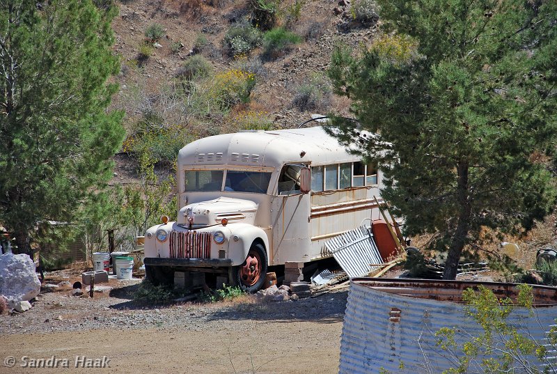DSC_1588.JPG