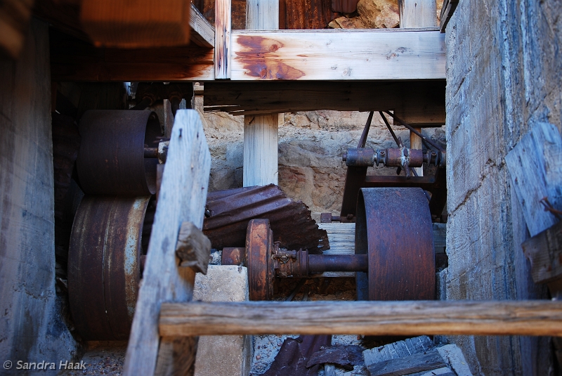 DSC_5503.JPG