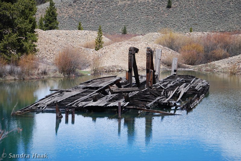 DSC_2973.JPG
