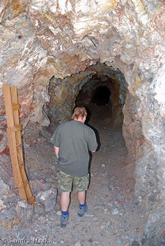 DSC_1924.JPG