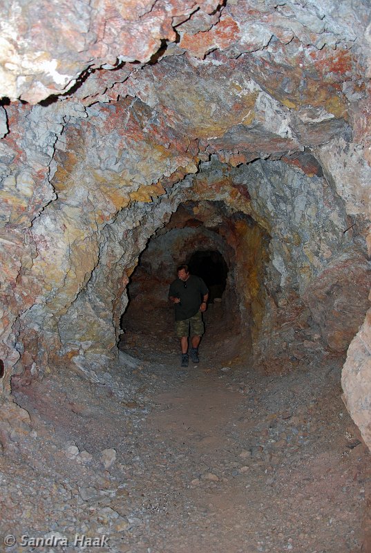 DSC_1925.JPG