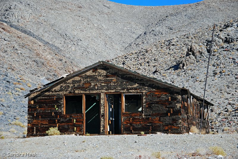 DSC_5355.JPG