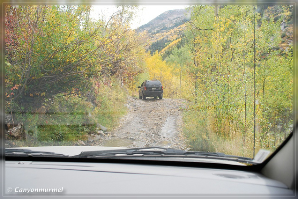 comp-DSC_0306