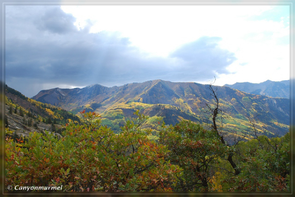 comp-DSC_0380