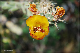 comp-DSC_5472