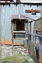comp-DSC_0206