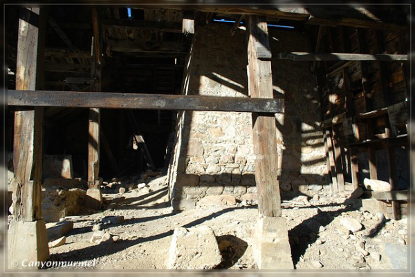 comp-DSC_0171