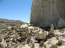comp-IMG_3277